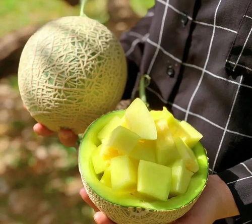 吃瓜娱乐圈有新瓜吃了,揭秘明星幕后故事