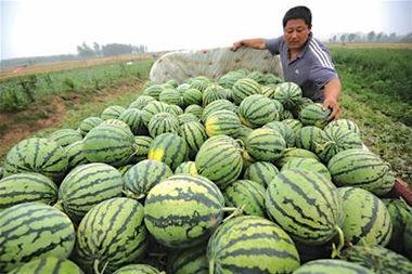 娱乐吃瓜居民,吃瓜群众眼中的明星生活