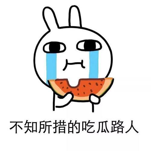 情绪稳定娱乐吃瓜酱,娱乐吃瓜，酱香四溢的欢乐时光