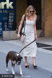 娱乐吃瓜酱遛狗,揭秘明星宠物日常